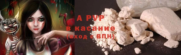 эйфоретик Кирс