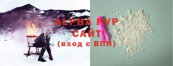 прущие грибы Кирсанов
