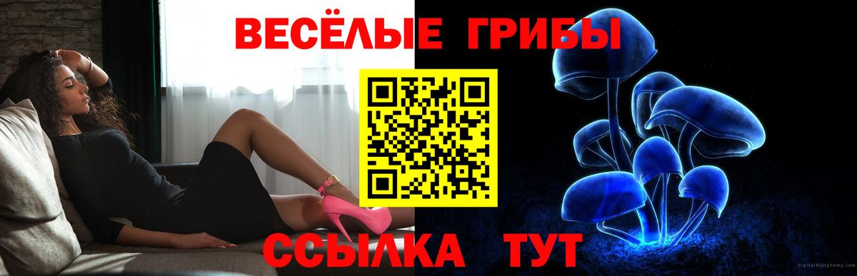 Псилоцибиновые грибы мухоморы Костомукша