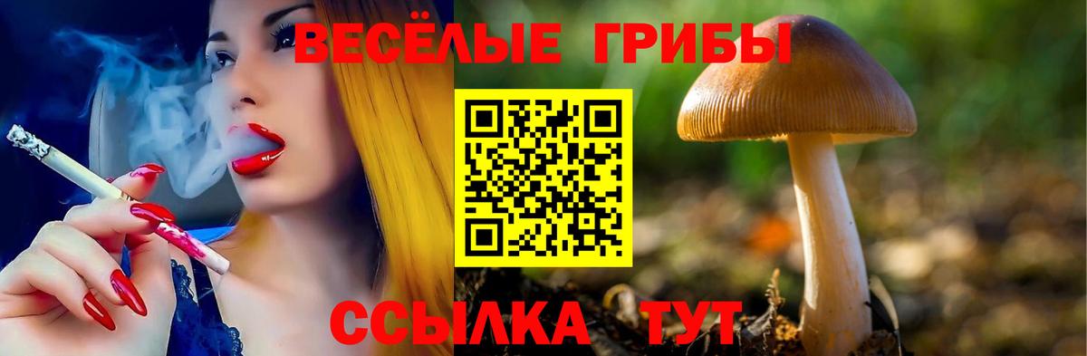 Галлюциногенные грибы MAGIC MUSHROOMS  Вход с VPN  Костомукша 